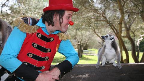 פורים 2016 בגן החיות התנ”כי מה אוהבים הקופים במשלוח מנות? - טיולים ובילויים לכל המשפחה בשוהם