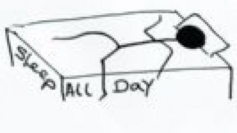 לישון את האסון - טורים אישיים בשוהם