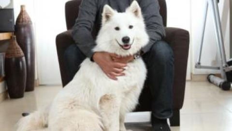 מתי בפעם האחרונה? - כתבות מגזין  בשוהם