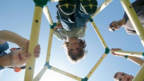 צעצוע של סיפור - כתבות מגזין  בשוהם