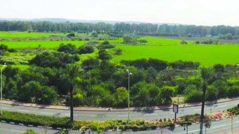 שכונה כ”א - חדשות בשוהם