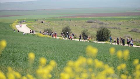 המלצות - טיולים ובילויים לכל המשפחה בשוהם