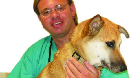 פרעושים וקרציות – מה חדש? - צרכנות  בשוהם