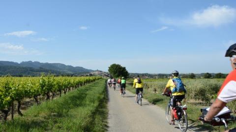 הדרך הנכונה לעשות את אירופה - טורים אישיים בשוהם