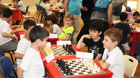 הדמוקרטי אלופי שוהם בשחמט - חינוך  בשוהם