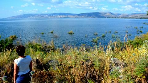 חגיגה של קיץ  טיול רגלי מגשר אריק ועד כפר נחום - טיולים ובילויים לכל המשפחה בשוהם