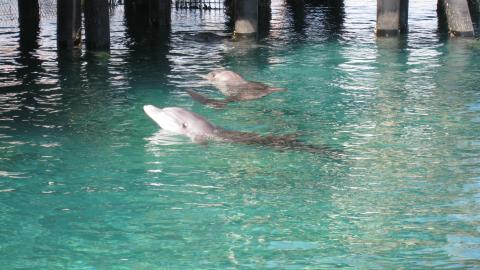  איך לקרר את חשבון הבנק- טיפים מעשיים, לימי הקיץ החמים - צרכנות  בשוהם