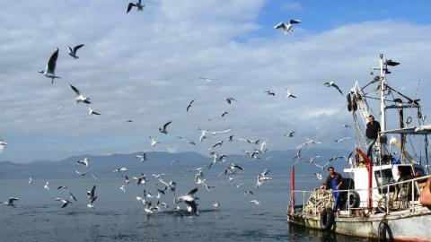 שייט חופים חינם וארוחה בכנרת - טיולים ובילויים לכל המשפחה בשוהם