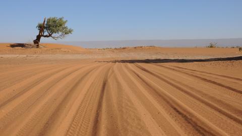 מרוקו , בעקבות ראלי דאקר - טיולים ובילויים לכל המשפחה בשוהם