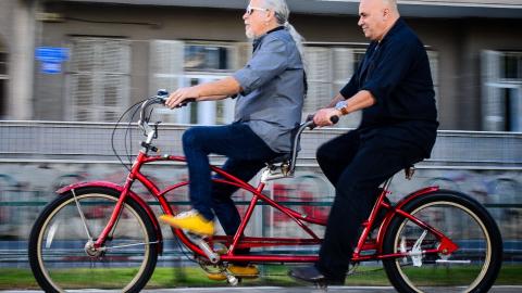 קיץ 2016 עומד להיות גדוש באירועים. בכל רחבי הארץ יתקיימו שלל מופעים ופעילויות - טיולים ובילויים לכל המשפחה בשוהם