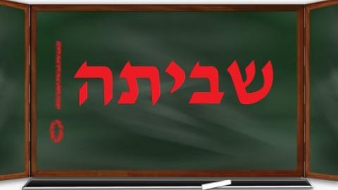 מחאת ההורים בבית ספר צוקים - חדשות בשוהם