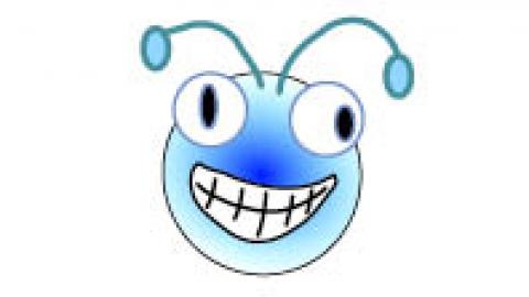 סלאמת או... סלמונלה - טורים אישיים בשוהם