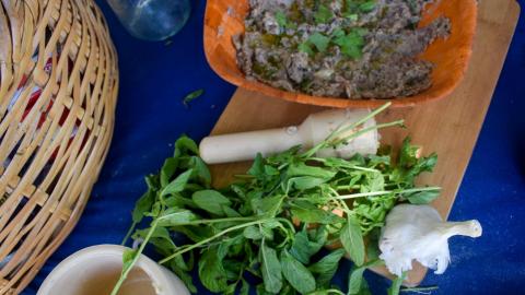 ספר המתכונים של דוד המלך - טיולים ובילויים לכל המשפחה בשוהם