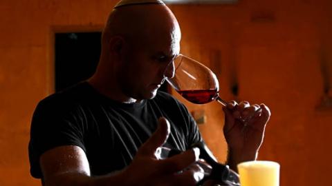 יקב נבו משיק יינות חדשים - טיולים ובילויים לכל המשפחה בשוהם