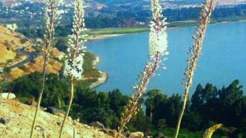 חצבים, מעיינות חמימים ותצפית לכינרת - טיולים ובילויים לכל המשפחה בשוהם