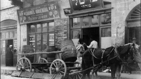 הַלֵל. כרמל. בצלאל - טיולים ובילויים לכל המשפחה בשוהם