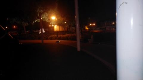 אורח בגן החבל - חינוך  בשוהם