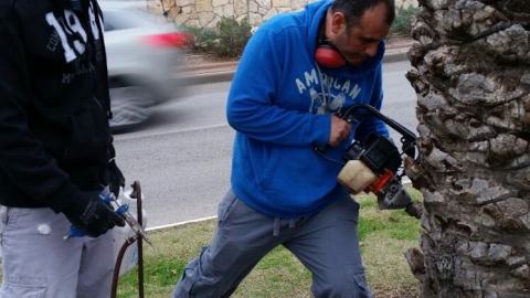 חלוקת סכך לסוכות - היום! - חדשות בשוהם