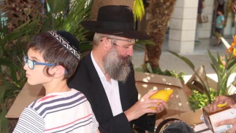 סוכות 2016, מרכז שוהם - חינוך  בשוהם