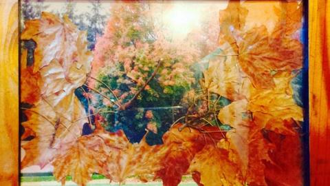 “אין לי ארץ אחרת גם אם אדמתי בוערת” - טורים אישיים בשוהם