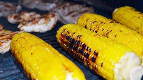 תירס שלם צלוי על גריל - מתכונים ובישול  בשוהם