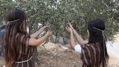 מחנה הסביבה וטבע הארץ בחנוכה | אוניברסיטת תל אביב - טיולים ובילויים לכל המשפחה בשוהם