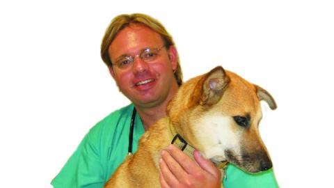 מחלות בדרכי השתן בחתולים - צרכנות  בשוהם