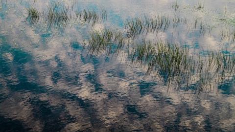 צלמים חובבים משוהם  נבחרו להציג בתערוכת הצילום "אור הטבע" - טיולים ובילויים לכל המשפחה בשוהם