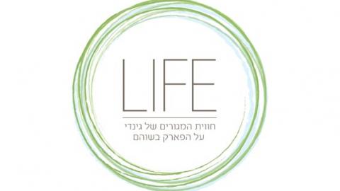 דיירי גינדי: החברה מתנערת מטיפול  בשנת הבדק - חדשות בשוהם