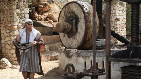 "בחזרה לארץ החשמונאים" - טיולים ובילויים לכל המשפחה בשוהם