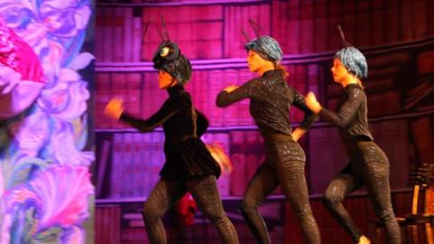 אימא, גם איזופוס נלחם במכבים? - טיולים ובילויים לכל המשפחה בשוהם