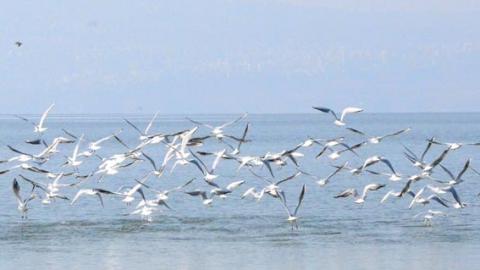 בסתיו יוצאים לטייל בכנרת - טיולים ובילויים לכל המשפחה בשוהם