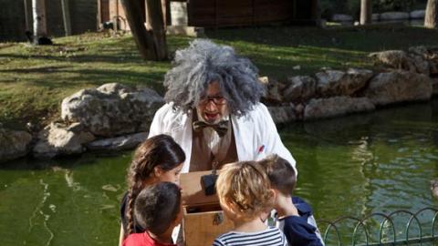 מגרשים את החושך - חנוכה בגן החיות התנ"כי בירושלים - טיולים ובילויים לכל המשפחה בשוהם