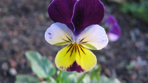 דיוטי פרי בפארק שוהם - חינוך  בשוהם