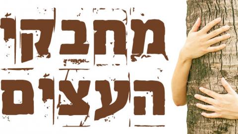 מחבקי העצים - כתבות מגזין  בשוהם