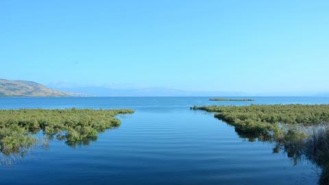 יוצאים לטייל בשביל סובב כינרת - טיולים ובילויים לכל המשפחה בשוהם