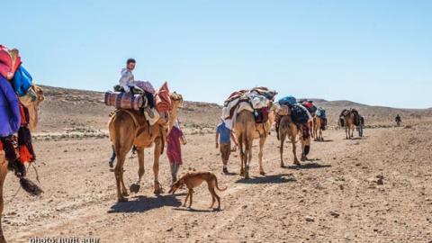 מסע מוזיקלי אל צלילי המדבר וחוכמתו - טיולים ובילויים לכל המשפחה בשוהם