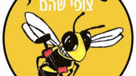  צופי שוהם - פתיחת שנת הפעילות נדחת לתאריך לא ידוע - חדשות בשוהם