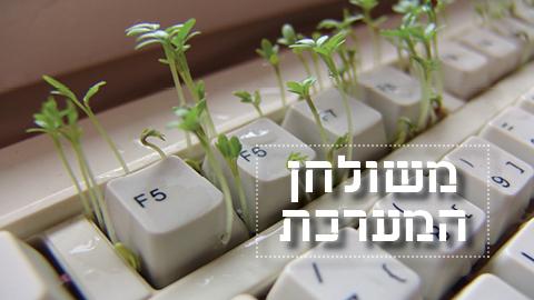בתכנון: שדרוג המרחב הציבורי בשוהם - חדשות בשוהם