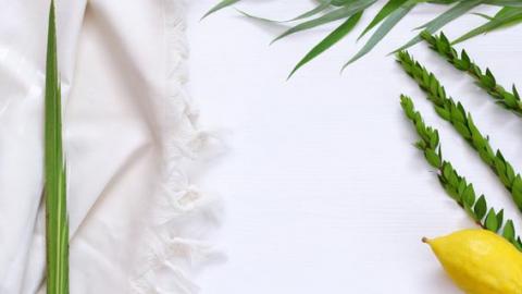 המלצות לסוכות 2017 - טיולים ובילויים לכל המשפחה בשוהם