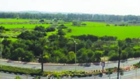 חברת אלמוג מודיעה על סיום הפריסייל - נדל"ן שוהם וישובי חבל מודיעין בשוהם