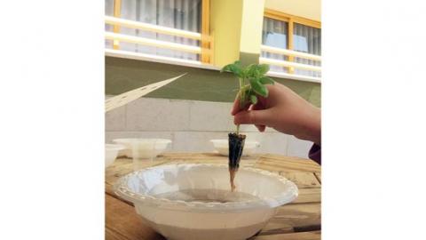 “ירוק על המים” בניצנים - חינוך  בשוהם