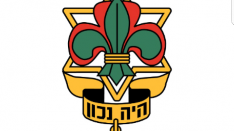 מתחמי לינה נפרדים לבנים ולבנות בצופים - חדשות בשוהם