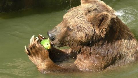 חורף קולינרי בגן החיות התנ”כי בירושלים - טיולים ובילויים לכל המשפחה בשוהם