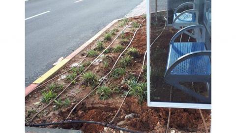 תחבורה ציבורית או גינה ציבורית? - חינוך  בשוהם