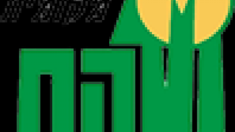 כל הדברים הטובים (פוסט פוסט - בחירות) - טורים אישיים בשוהם