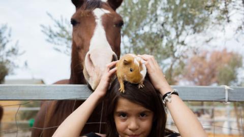 חווה חיות וחוויות עם כרמית בחוות אוליבו - טיולים ובילויים לכל המשפחה בשוהם