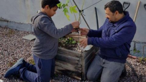 גינה על הגג - חינוך  בשוהם