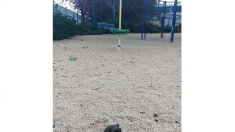 מה יהיה? - חינוך  בשוהם