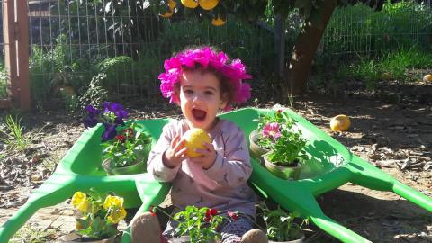 ילדי מושב חדיד בפעילות ט"ו בשבט - חינוך  בשוהם